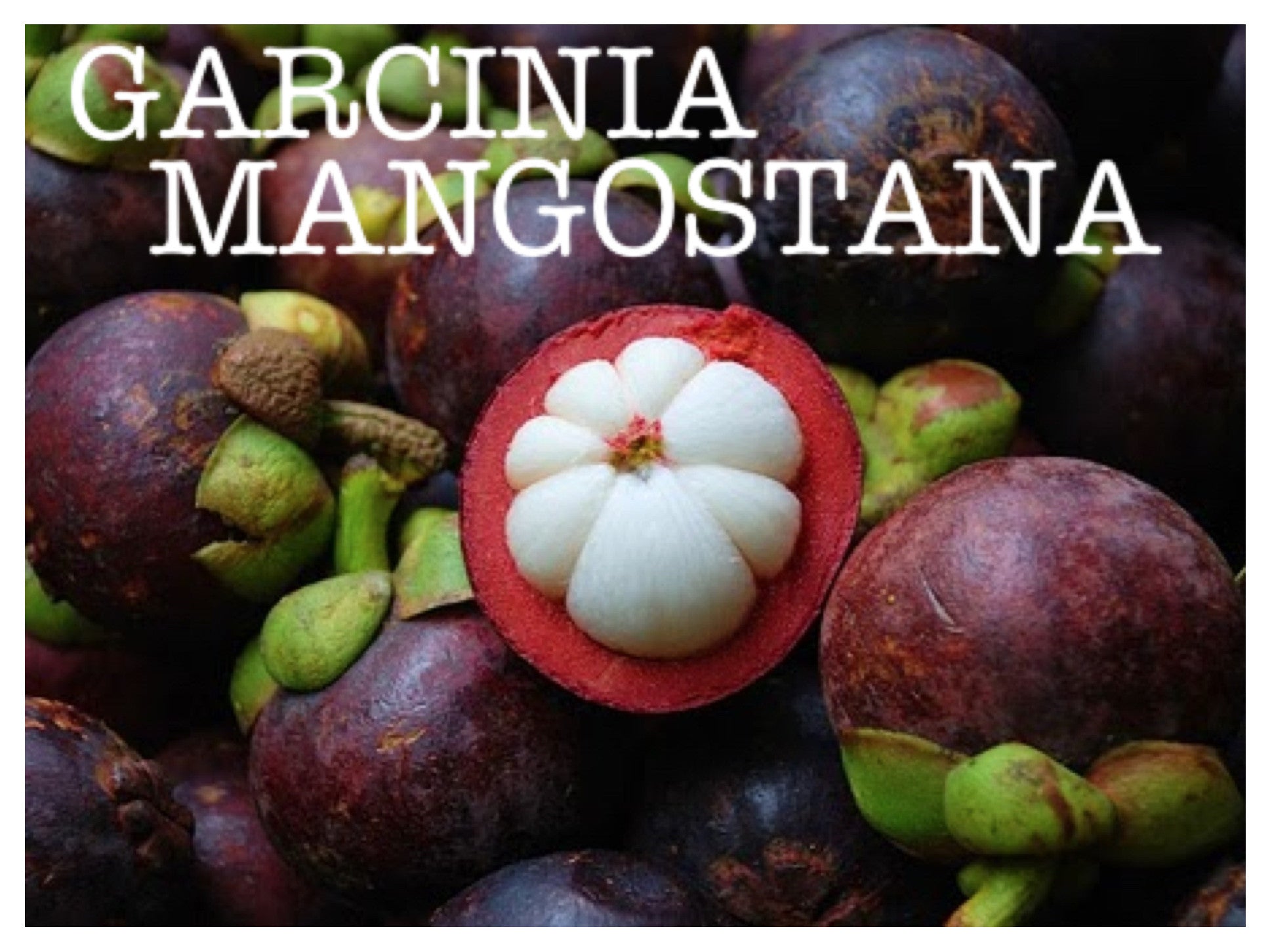 Mangosteen, 500 mg, 60 Vegetable Capsules