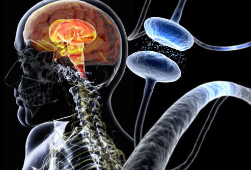 Berries reduce the risk for Parkinson's disease