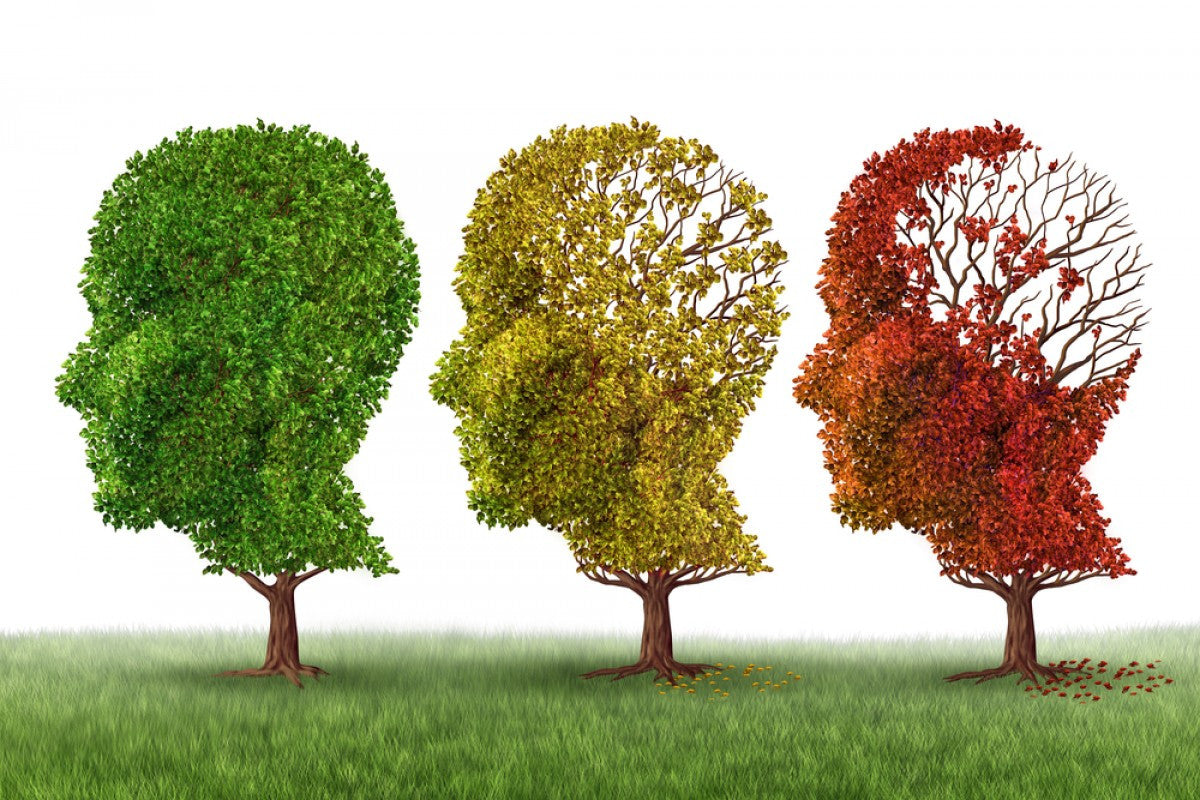 Alpha lipoic acid for Alzheimer's disease