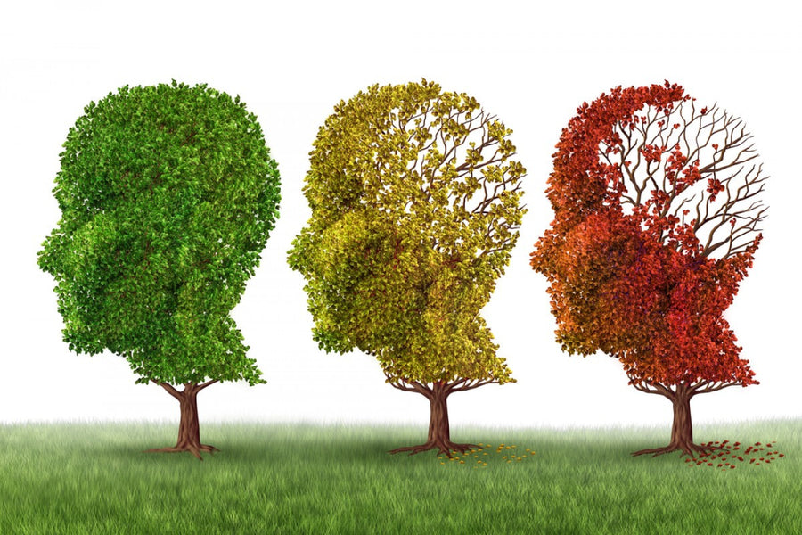 Alpha lipoic acid for Alzheimer's disease