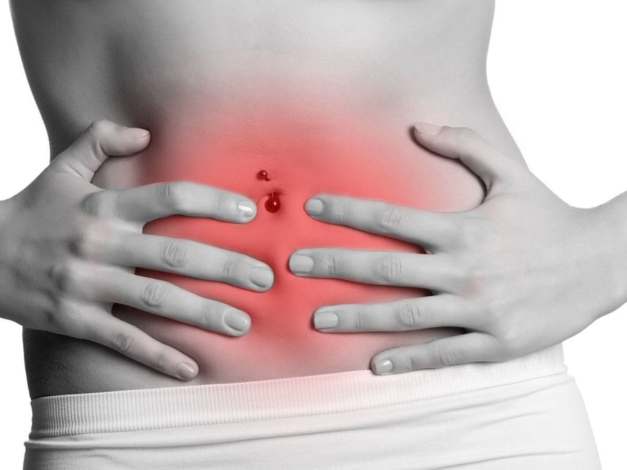 The Benefit of Prebiotics