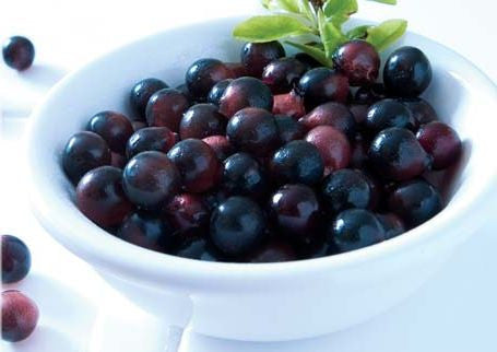 Acai berry diet makes fruit flies live longer