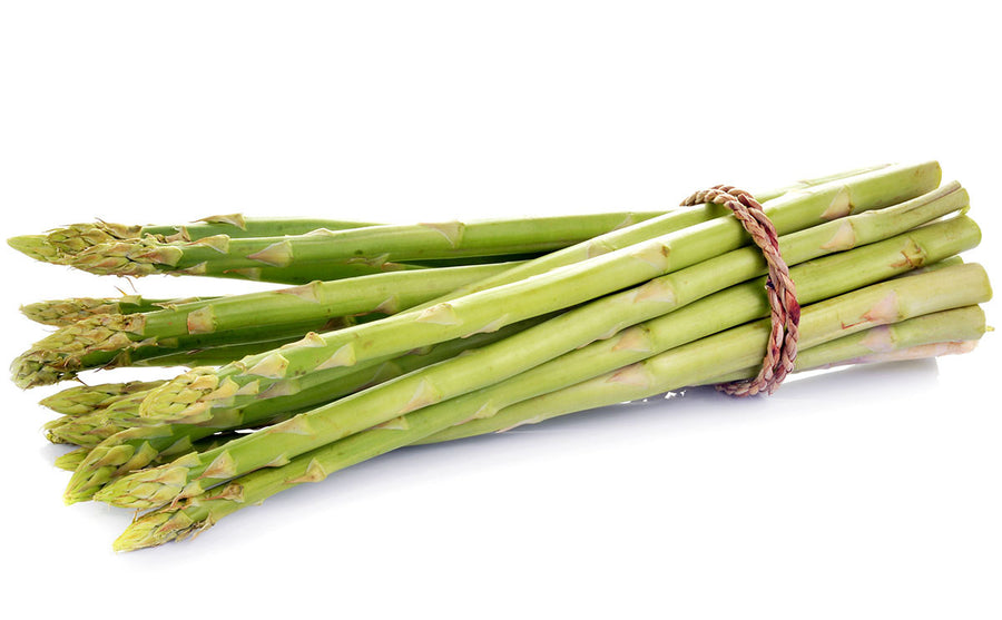 Asparagus Extract