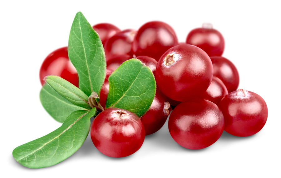 Cranberry for lower urinary tract symptoms in men