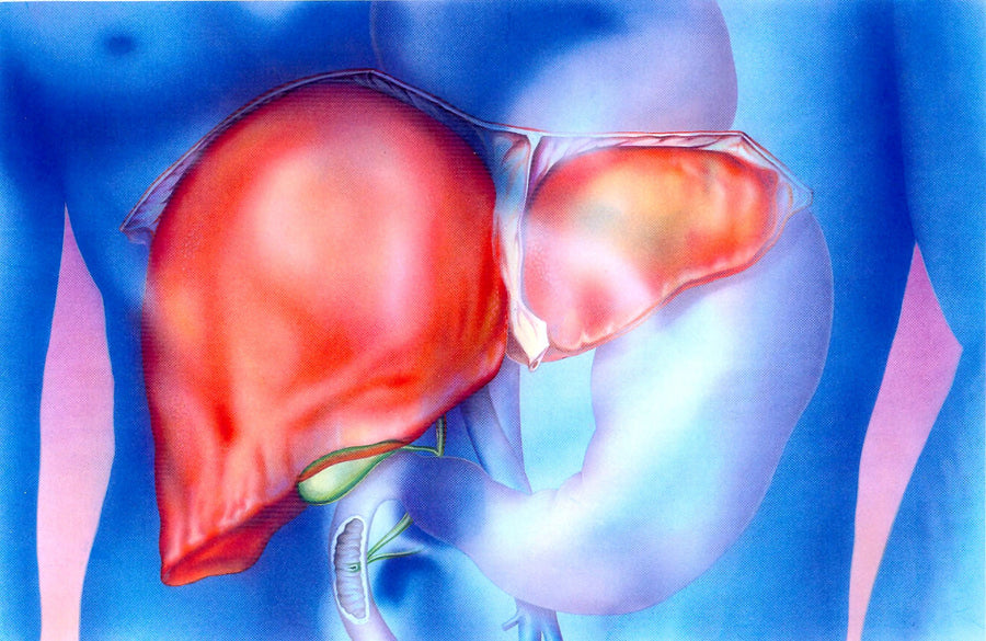 Some obesity drugs are unsafe