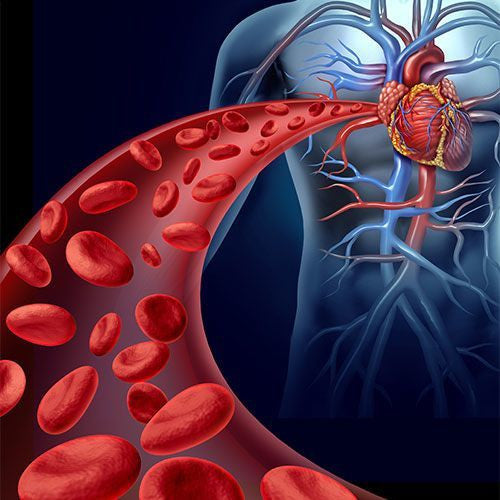 Arginine supplementation and blood pressure lowering