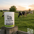 HERD Colostrum & Collagen Powder — Prebiotic + Postbiotic Gut & Skin Support | 35 Servings - Back Label - Advance Physician Formulas