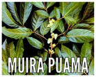Muira Puama, 500 mg, 60 Vegetable Capsules