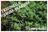 Fenugreek Extract, 350 mg, 60 Vegetable Capsules